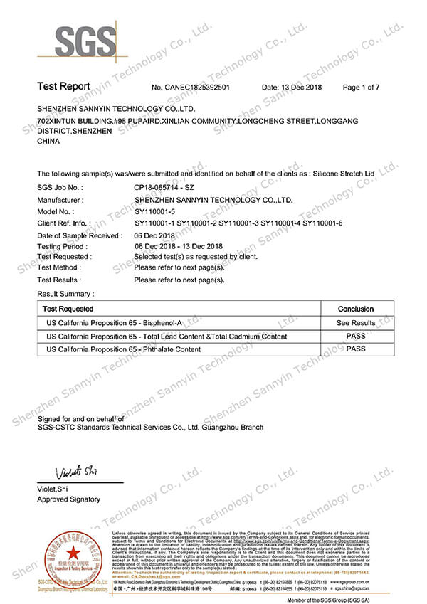 cp65 Prüfbericht sannyin 1